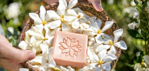 在生態(tài)友好的旅途中，愛(ài)上泰順 可持續(xù)旅游項(xiàng)目開發(fā)與管理的探索